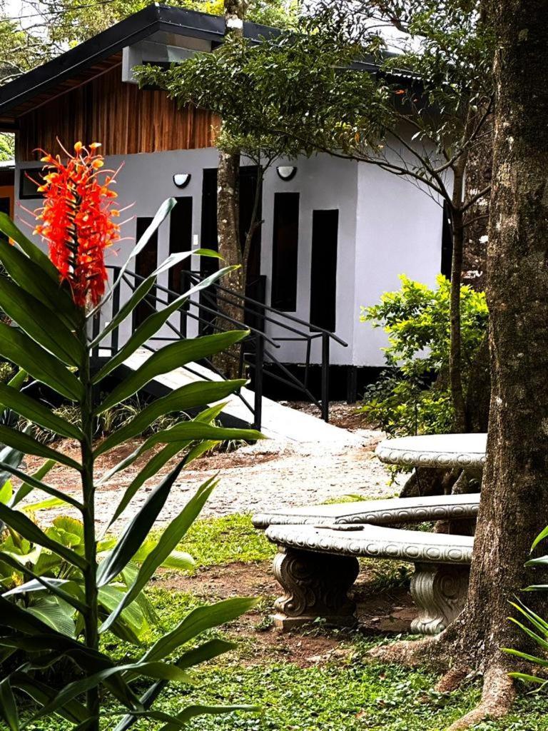 Cabanas Roca Verde Monteverde Eksteriør bilde