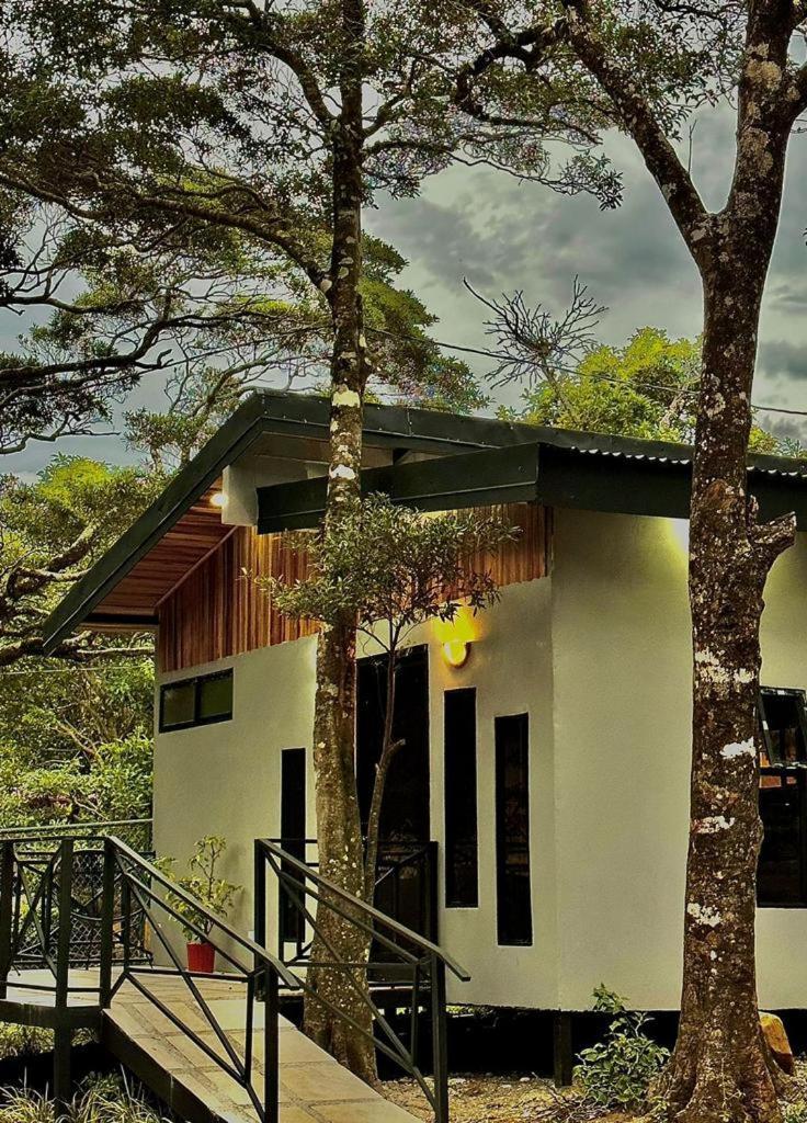 Cabanas Roca Verde Monteverde Eksteriør bilde