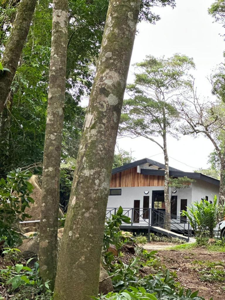 Cabanas Roca Verde Monteverde Eksteriør bilde