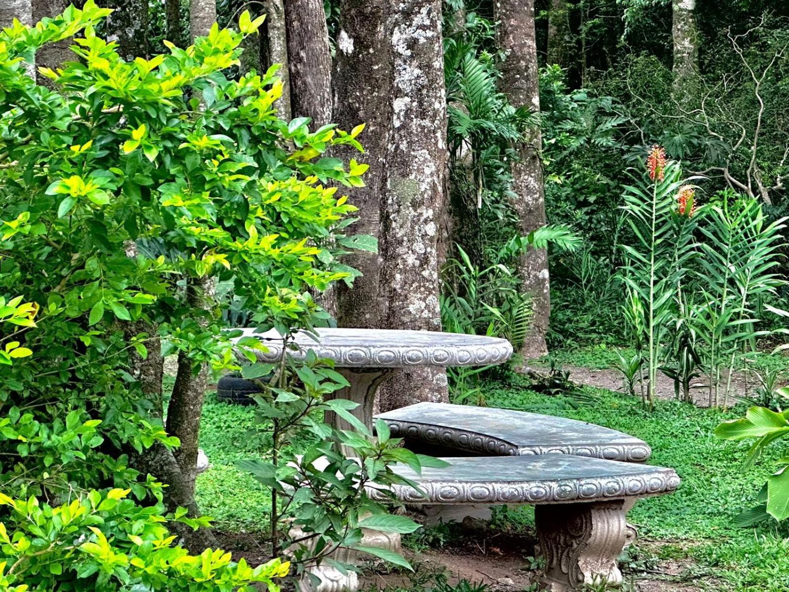 Cabanas Roca Verde Monteverde Eksteriør bilde